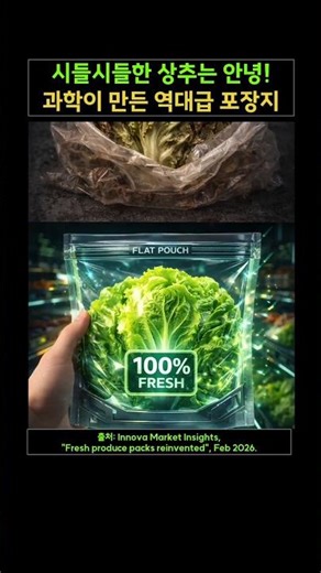 시들시들한 상추는 안녕! 과학이 만든 역대급 포장지