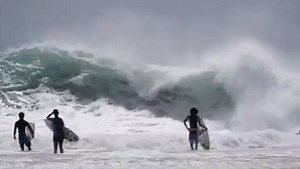 Nick Vasicek taking charge of this Snapper mutant. | Barrel Junky