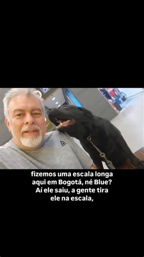 transporte pet internacional on Instagram: "O que faz a diferença no bem-estar do pet em viagens internacionais. O bem-estar animal é um dos pilares do Transporte Pet Internacional, especialmente em viagens internacionais que são de longa duração. Fatores como tempo total de deslocamento, condições ambientais, manuseio adequado e pausas para descanso impactam diretamente a saúde física e emocional de cães e gatos ao longo do trajeto. No Transporte Pet Internacional acompanhado, o pet viaja sempr