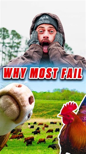 When I jump into a project without a plan, I start to feel scattered and unsure. A clear plan brings order and helps me see each step. I set priorities, track progress, and move forward with purpose. Before I start my next task, I pause to make a simple plan—and invite you to do the same for better results. #homesteading #pastureraised #organicgardening #growyourfood #eatwhatyougrow #urbanfarm #growyourownfood #homegrown #farmfresheggs #countryliving #selfsufficient #homestead #farmher #familyfa