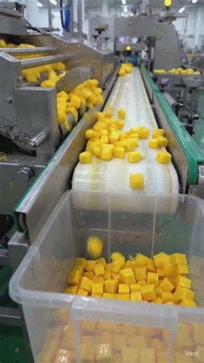 Mango pulp making process in factory #viral #food #viralvedio #trendingshorts