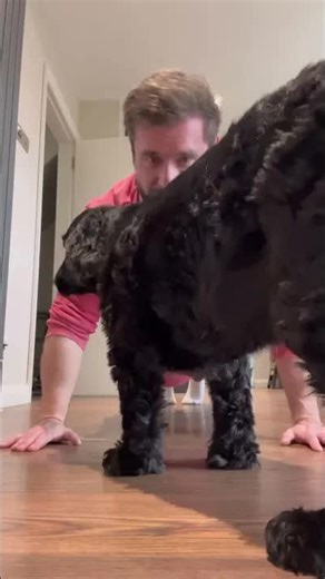 40k push up challenge with dog Ollie