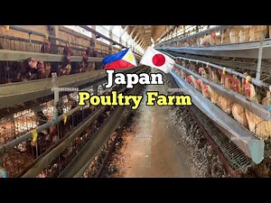 Japan Poultry Farm