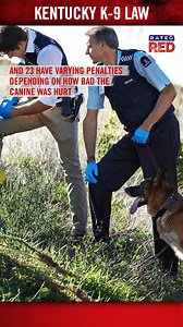 New KY legislation aims to protect police dogs | Rated Red