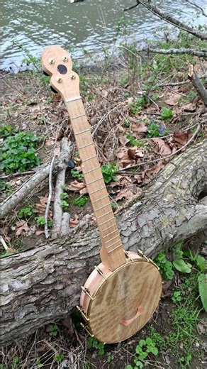 "Wild Goose Chase" - Curly Maple Banjo Build