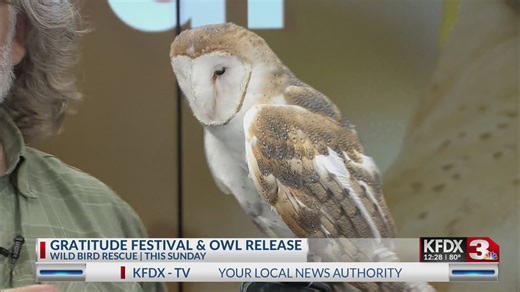 Wild Bird Rescue Gratitude Fest and Owl Release