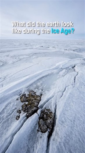 Take a journey back to the Ice Age, when glaciers covered vast regions of Earth and the climate was harsh and icy. Witness the frozen landscapes that defined this prehistoric era. #IceAge #pleistocene | Primeval Planet