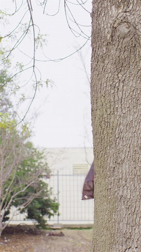 Plant Earth but for Chads | Content Machine