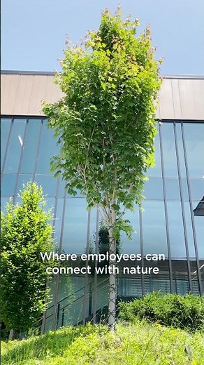 Behind the Scenes: Outdoor Spaces at L.L.Bean HQ