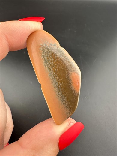 Hart Mountain Jasper - Freeform Cabochon - Plush, Oregon - Etsy