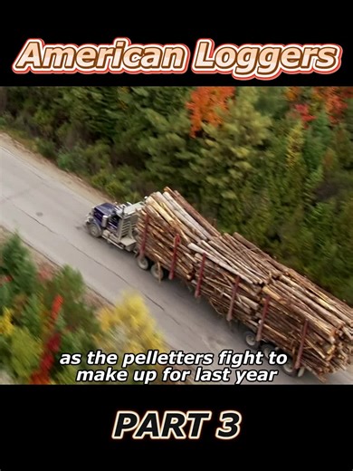 Mastering Logging Challenges with Heavy Machinery