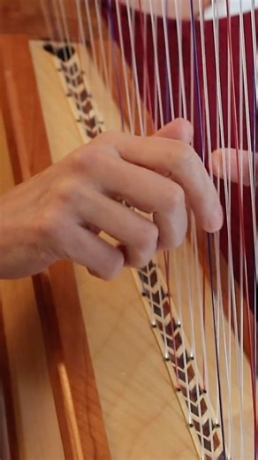 Double strung harp cheerful Christmas music