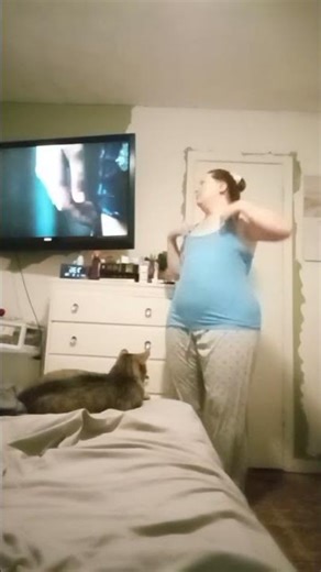 SAIL AWOLNATION song #cat #dance #singing
