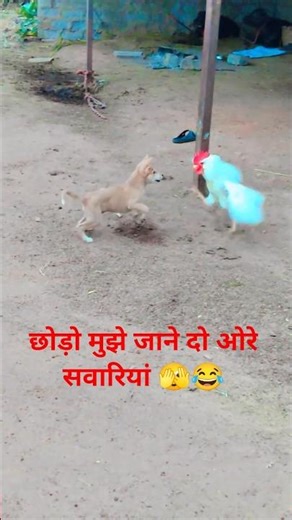 कबड्डी कबड्डी l छोड़ो mujhe जाने दो ओरे सवारियां l youtube upload #viral #funny #trinding 😂😂