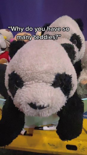 So what’s with all the teddies? #clipnclimb #clipnclimbleeds #climbing #indoorclimbing #familytime #challenge #foryoupage #activitiesforkids #adventure #teddy #teddybear