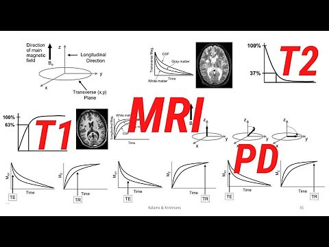 MRI Contrast Mechanisms T1 T2 PD Weighing
