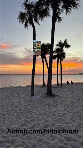 Evora Saltwater Pool Home 3BR | Florida Vacation Rental #Shorts