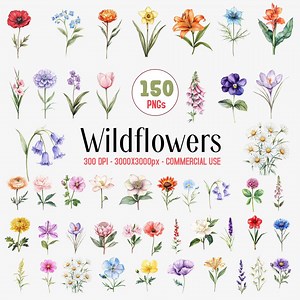Wildflowers Clipart, Wild Flower PNG, Flowers Borders, Summer Wildflowers, Watercolor Wild Flower, Wedding Clipart - Etsy