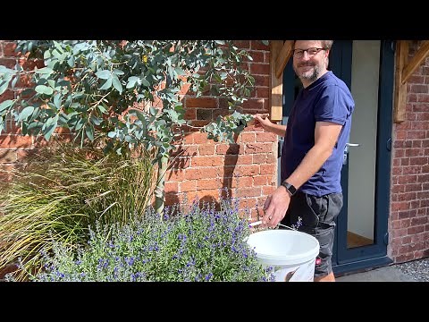 Exterior Home Insulation: Emperor Paint Exterior Masonry Creme Review
