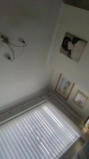 Elf.Bars600 (@elf.bars600)’s videos with original sound - Elf.Bars600