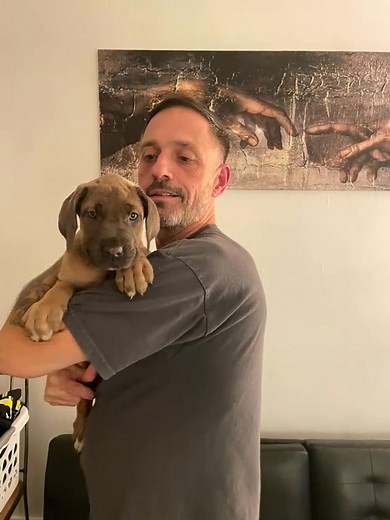 David Houston on Reels