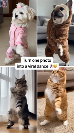 Turn your pet photo into a fun dance video | AI Photo Video Maker With Music