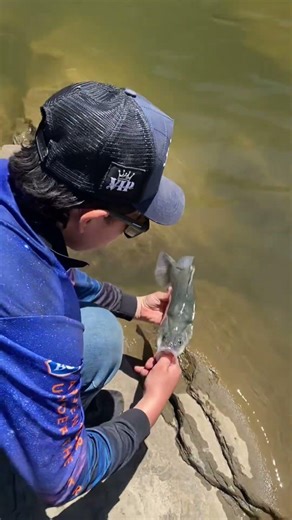 Nice little river yella