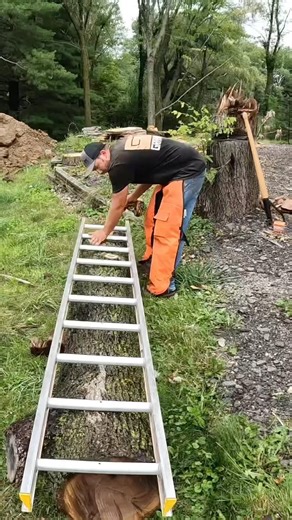 33K views · 221 reactions |  Gotta get that first cut just right!! ...