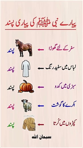 The Beloved Prophet’s Favorite Things – Islamic Teachings & Everyday Life