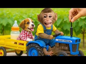ビムビムファミリーは新しい家で子犬の世話をしている | Baby Monkey Animal