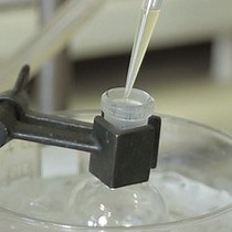 Video: The Synthesis of RGD-functionalized Hydrogels as a Tool for Therapeutic Applications