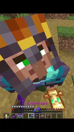 How to use Maze+Elytra #minecraft #shorts