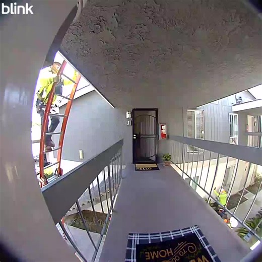 The Fascinating World of Construction Workers