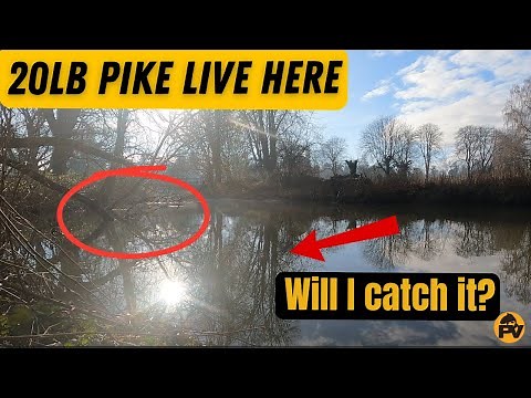 How Can I Catch More Pike? Top Tips for Bigger & Better Catches!
