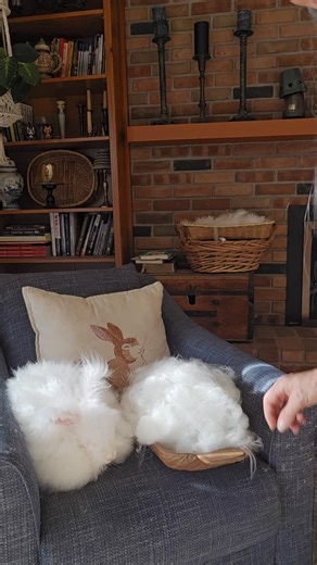 I learned how to spin 20 years ago on a drop spindle with angora rabbit fiber. It still brings me so much joy to spin this way. #yarn #angora #angorarabbit #yarnaddict #friendlyfur #rabbits #fiberfarm #yarnfrombunnies #rabbit #angorayarn #dropspindle #spinningfiber | Tail Spin Farm