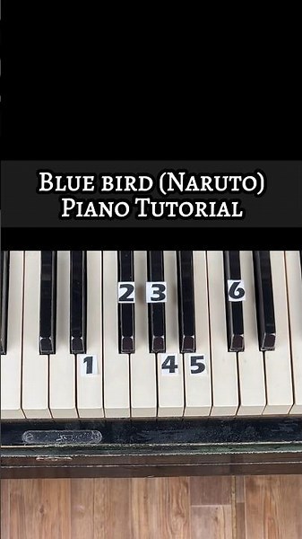 Blue Bird (Naruto) Piano Tutorial #shorts