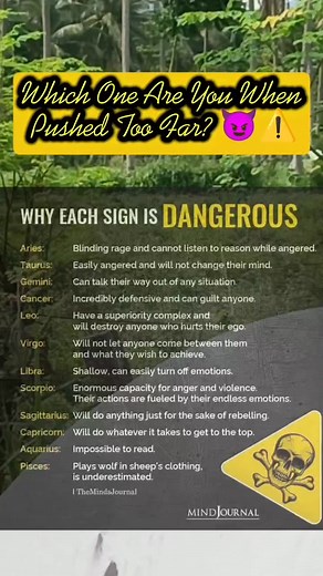 Every zodiac sign has a dark side… 🔥♈♏♑ Some are silent killers, others are explosive. Which one are you when pushed too far? 😈⚠️" #DangerousSigns #ZodiacDarkSide #AstroTruths #ZodiacRealTalk #ZodiacPower #SignsNotToMessWith #ZodiacEnergy #DarkSideOfTheZodiac | Lifestyle Habits