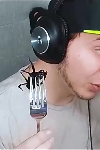 Best OF Laupok sur TikTok