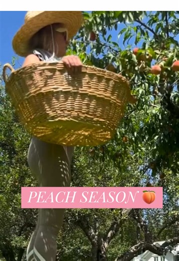 Delicious Peach Pie Season at Big Titicus Farms