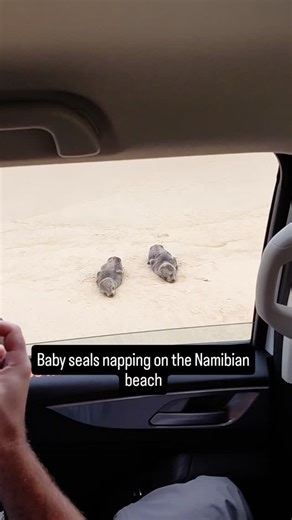 Plan your next Namibia trip with a FREE 10-day itinerary 👇 https://www.namibiafromtheroadside.com/products/namibia-explorer-a-first-timer-s-route-10-12-days - Or get in touch and we'll handcraft your perfect Namibia trip for you 👇info@namibiafromtheroadside.com | Namibia from the Roadside