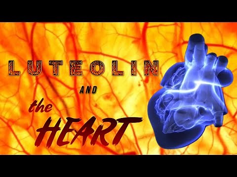 Luteolin and the Heart