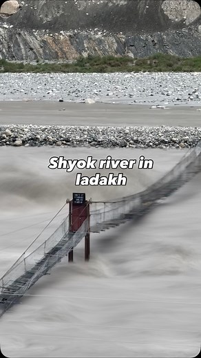 Rover shutterbug on Reels