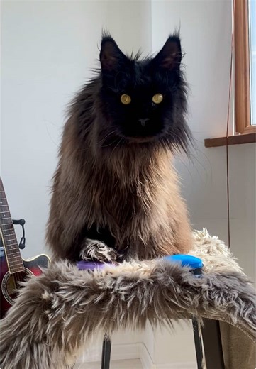 Teaching Zeus: Button Pressing Progress in Level 2