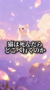 猫は死んだらどこへ行くのか？🐈🌈猫を亡くした方々はこの問いに胸が締めつけられますね😢昔から語り継がれているひとつの優しい物語🌈💐✨そこには痛みも苦しみもない世界！猫たちは自由に走り回り、大好きだった人のことをそっと見守っています🙏🐈そしてどこかであなたとの再会を心待ちにしながらいつか虹の橋で仲間たちと再会し、もう二度と悲しまなくていい場所へ....猫を愛し、別れを経験した全ての人へ贈る物語切ないのに、なぜか心が励まされ、温かくなるお話愛した分だけ悲しみは癒えない。喪失感や虚しさでいっぱいになりますがあの可愛かった姿、尊い命は、もう帰ってこない...だからこそ、なんとかそう思いたいものです🐈🌈💐いつか人間も死ぬのだから...#猫 #虹の橋 #猫は死んだらどこへいくのか#ペットロス　#会いたい