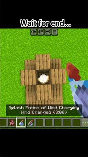 Minecraft speed run