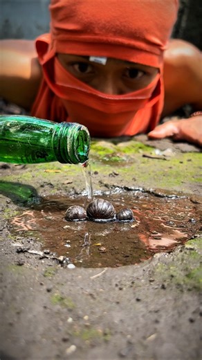 Tarzan Mask, Spa and Bathing a trio of cute pill millipedes #pillmillipede