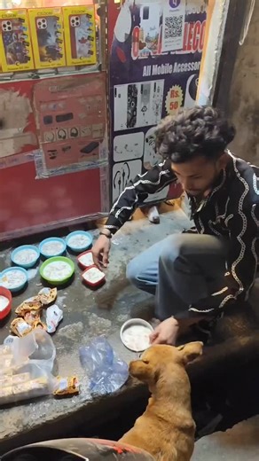 street dog helper on Instagram: "Batao 🤐 #shivratri #love #dogs #help #support"