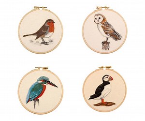 Birds Needle Felting Kit in Support of RSPB Charity. DIY Felting Craft Kit for Beginners. 2D Birds Wool Art by the Makerss - Etsy Canada