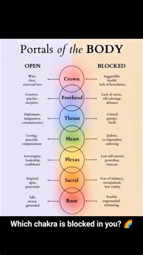 Portals Of The Body 🌈 Open vs Blocked Chakras Explained