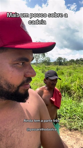 Cadeia: Entenda o que é e mais sobre